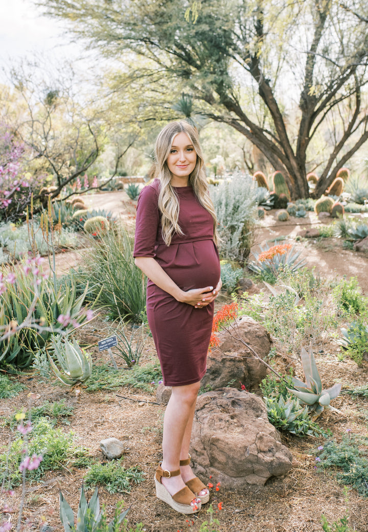 Jackie Maternity & Nursing Dress